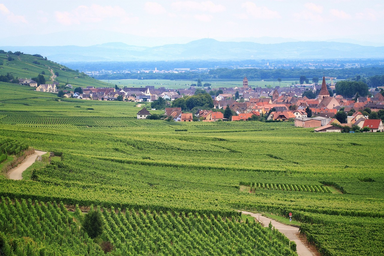 Alsace och Champange