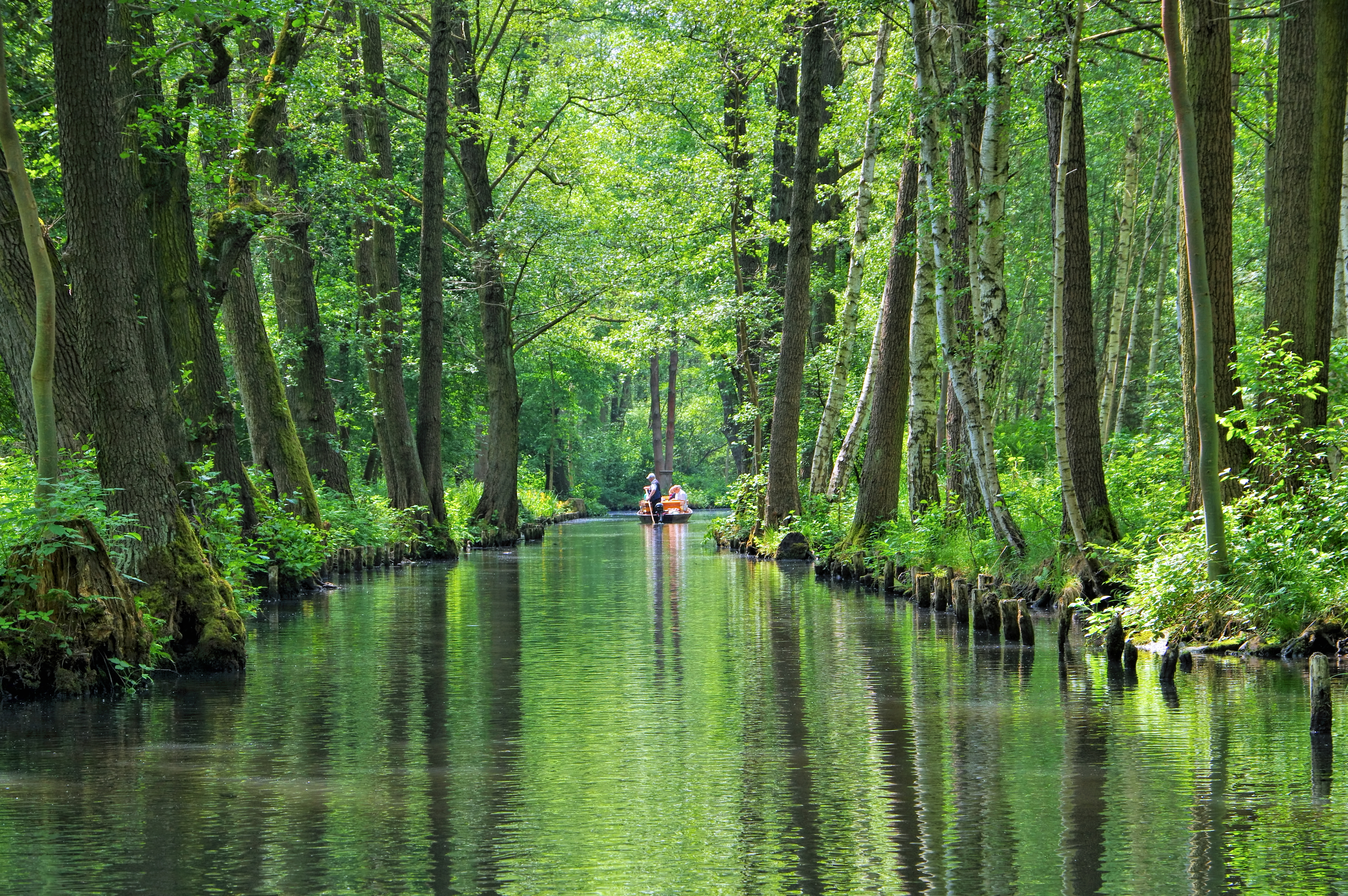 Spreewald