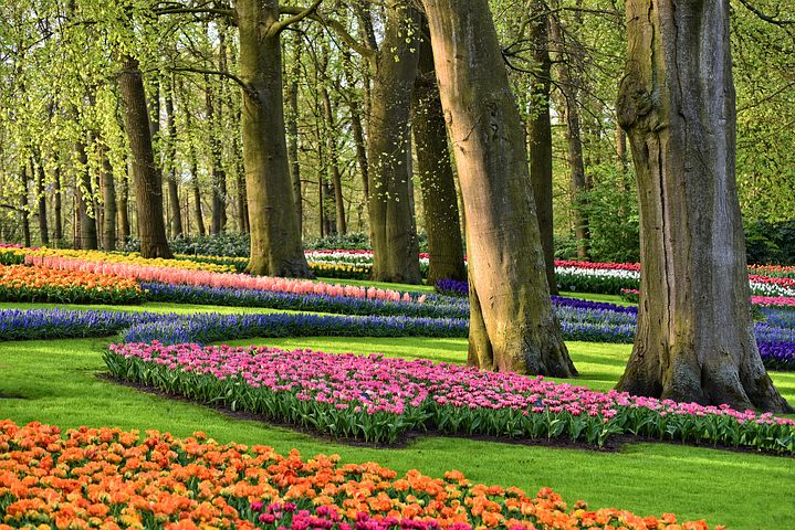 Holland med blomsterparaden