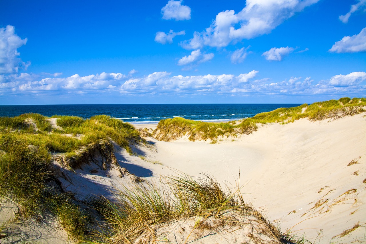 Nordfrisiska arna Sylt och Rm