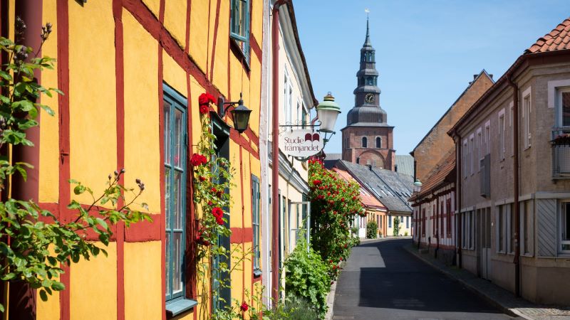 Kryssning till Ystad och Visby med MS Birka Gotland